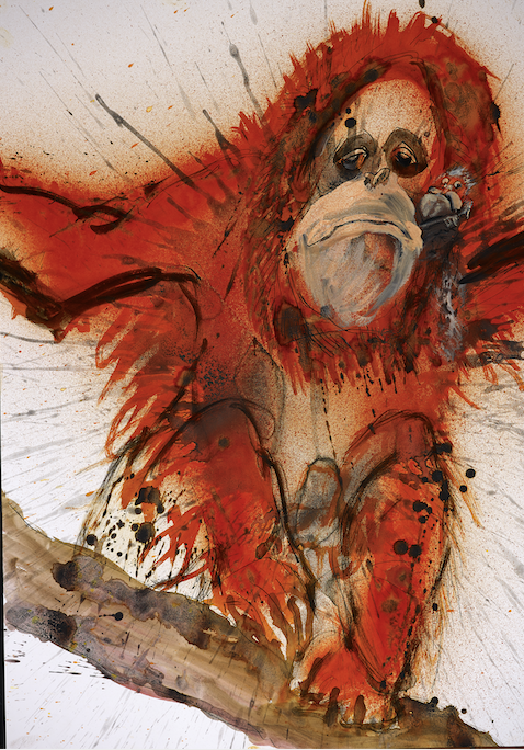 Orangutan from Critical Critters by Ralph Steadman and Ceri Levy