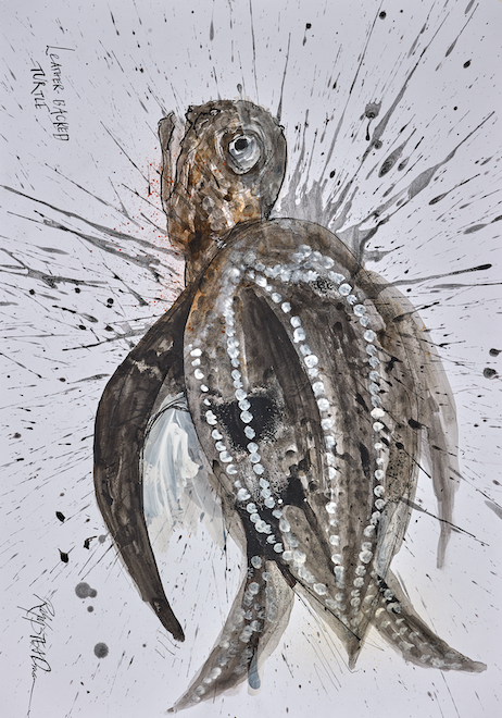 Turtle from Crittical Critters by Ralph Steadman and Ceri Levy