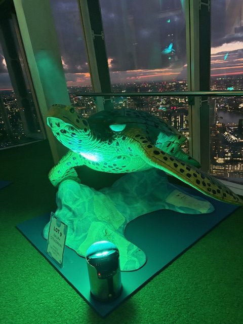 Myrtle the Hawksbill Turtle